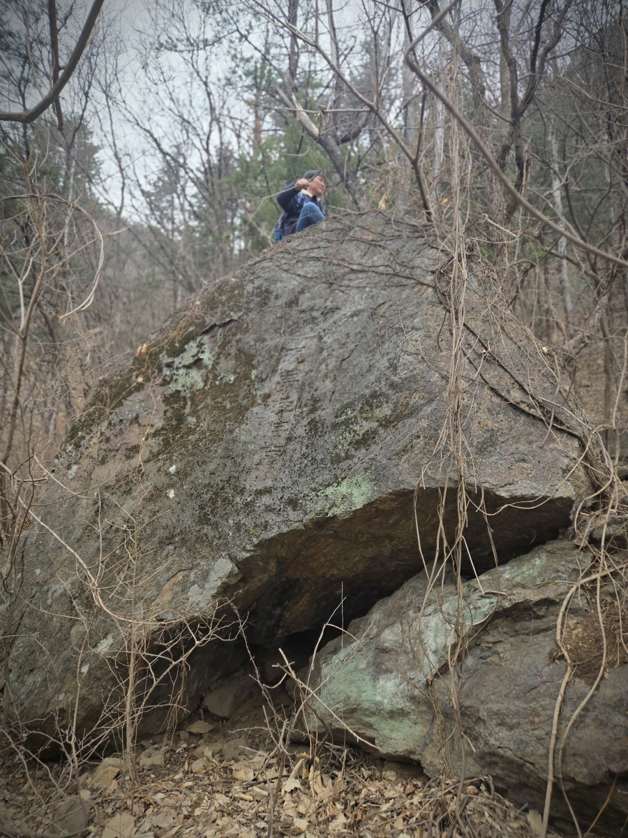 250301_보광사(31절행사)_040.jpg